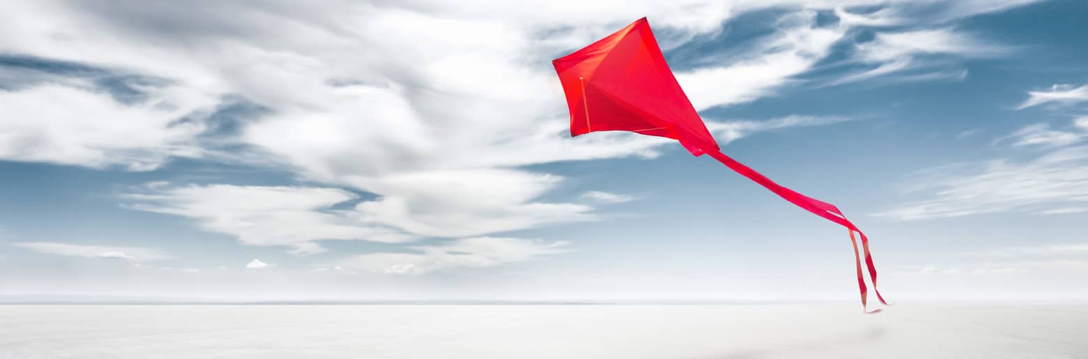 Publications rapports financiers