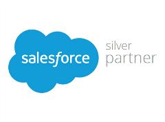 Salesforce-Silver-Partner